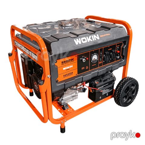 Generator Wokin W791255 — Bakı