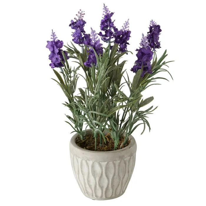Dekorativ gül Boltze Lavender 32 sm — Bakı