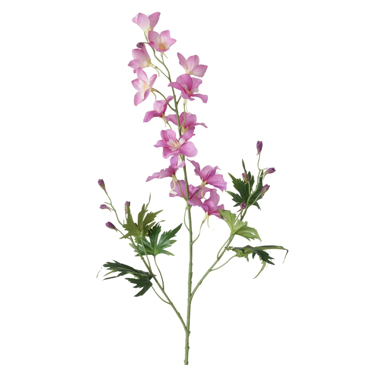 Dekorativ gül Boltze Delphinium, 86 sm (2058386) — Bakı