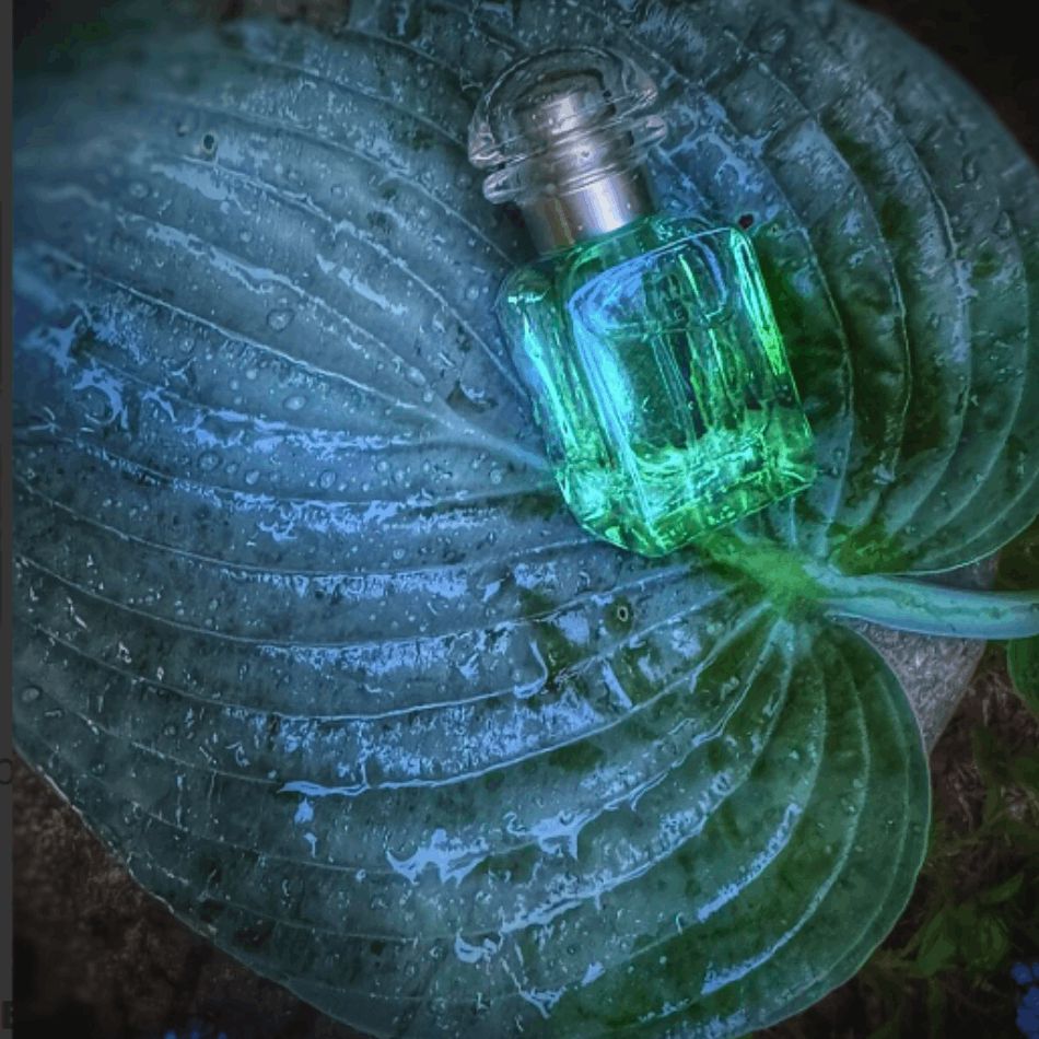 Uniseks parfüm Hermes Un Jardin Sur Le Nil EDT 100 ml 3346138900087 — Ətir, Bakı (3)