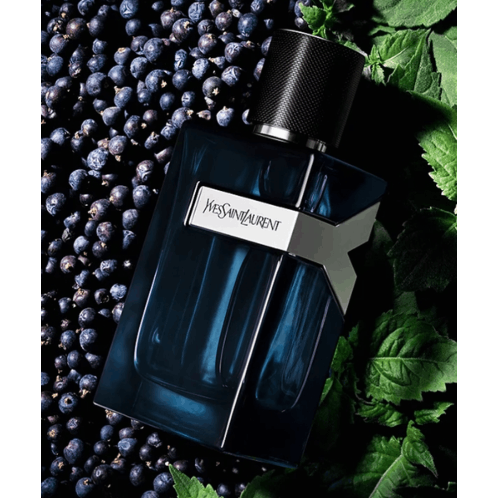 Kişi parfümü YSL Y Intense EDP 100 ml LE162601 — Ətir, Bakı (3)