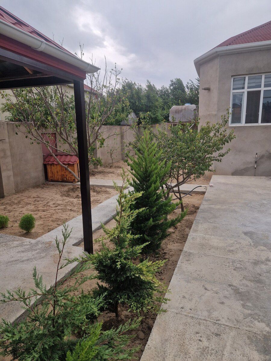 Həyət evi, Novxanı qəs — Ev, villa, Sumqayıt (3)