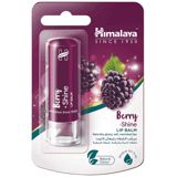 Dodaq balzamı Himalaya Berry Shine 4.5 qr 6291107225654 — Макияж