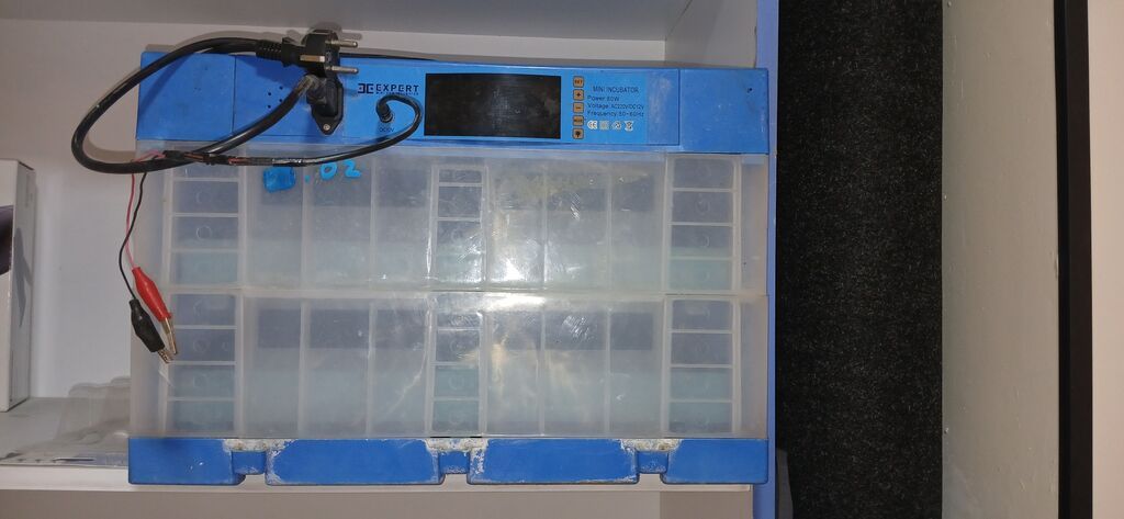 Expert Mini Inkubator - Model: Expert Mini Incubator (üst paneldə — Kənd təsərrüfatı avadanlığı, Bakı