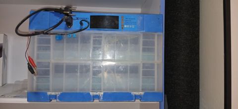 Expert Mini Inkubator - Model: Expert Mini Incubator (üst paneldə — Bakı