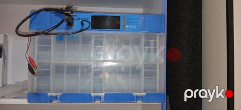 Expert Mini Inkubator - Model: Expert Mini Incubator (üst paneldə — Bakı