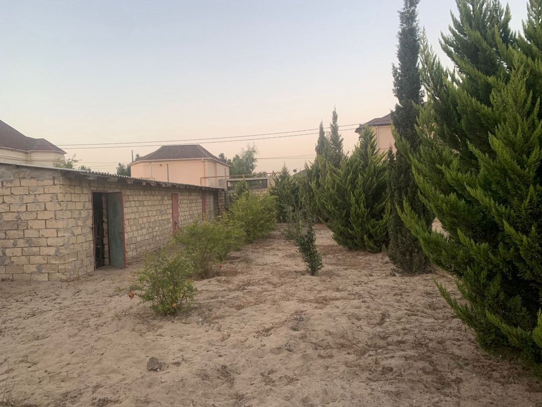 Bağ evi kirayə verilir, Nardaran qəs — Ev, villa, Bakı (11)