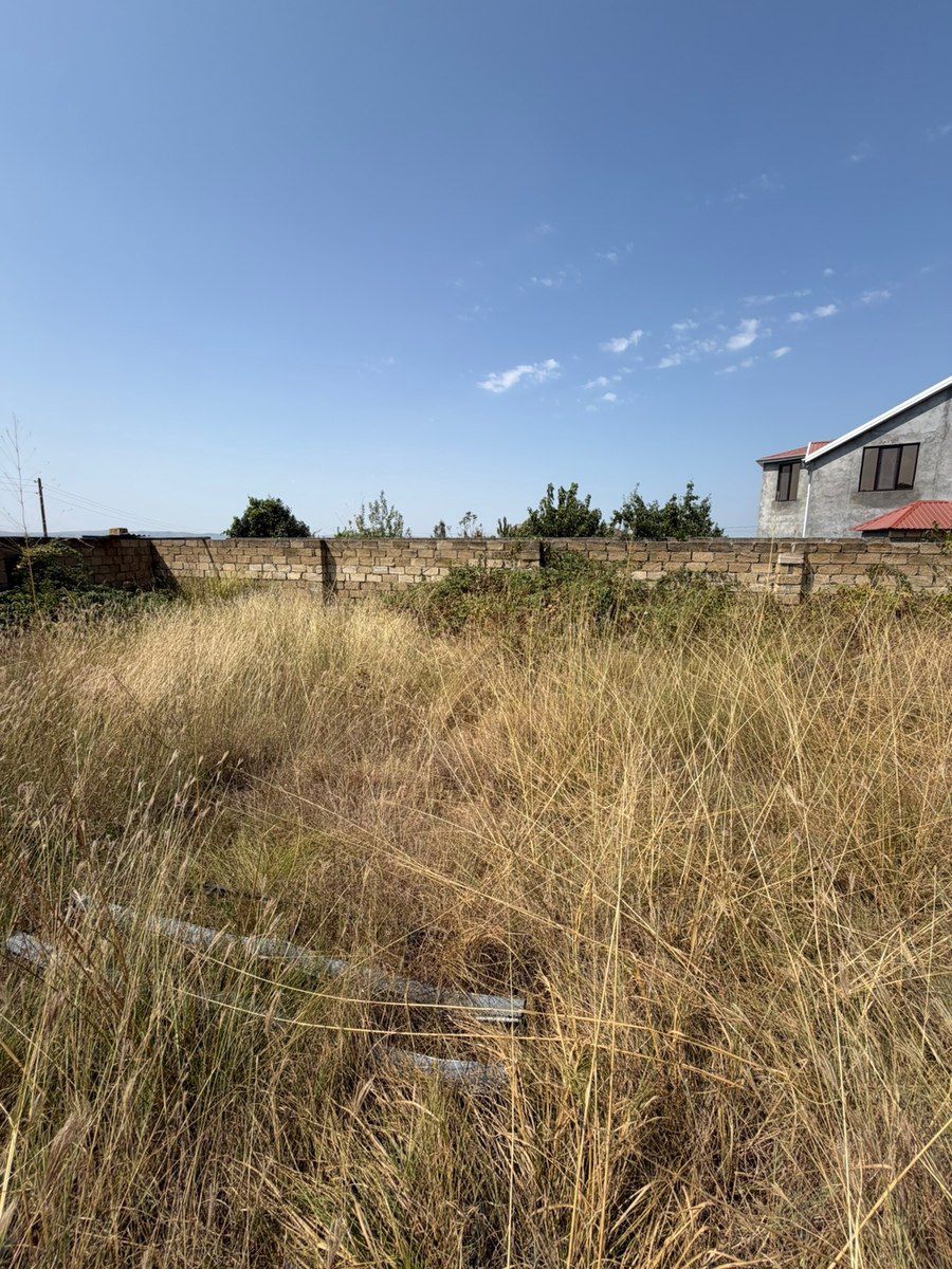Həyət evi, Şəki ş — Ev, villa, Bakı (8)