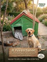 İt yuvası satılır - Material: taxtadan hazırlanmış, möhkəm karkas — Dog houses
