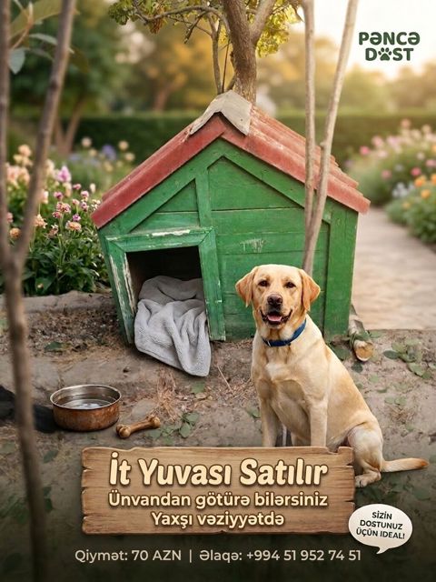 İt yuvası satılır - Material: taxtadan hazırlanmış, möhkəm karkas — Digah