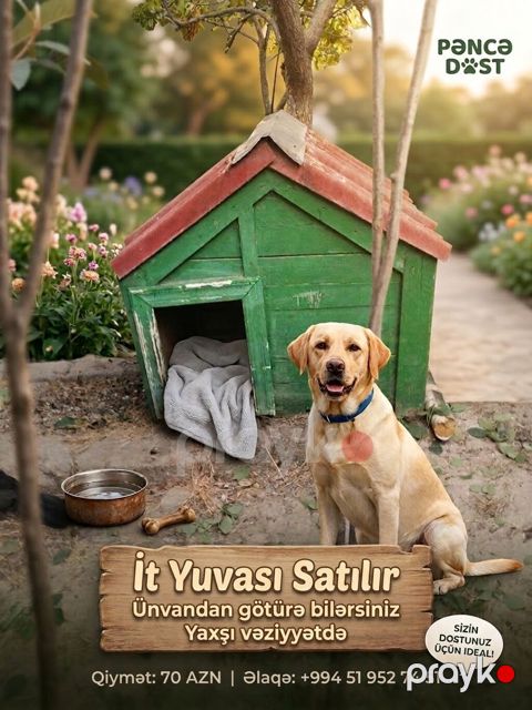 İt yuvası satılır - Material: taxtadan hazırlanmış, möhkəm karkas — Digah