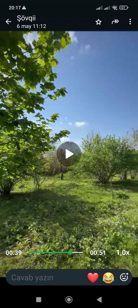 Tikinti, Kupça (Çıxarış) — Qəbələ