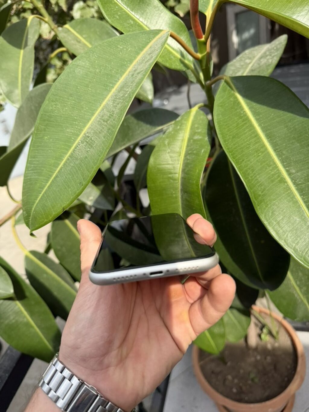 IPhone 11, Ağ, Face ID — Apple iPhone, Masazır (4)