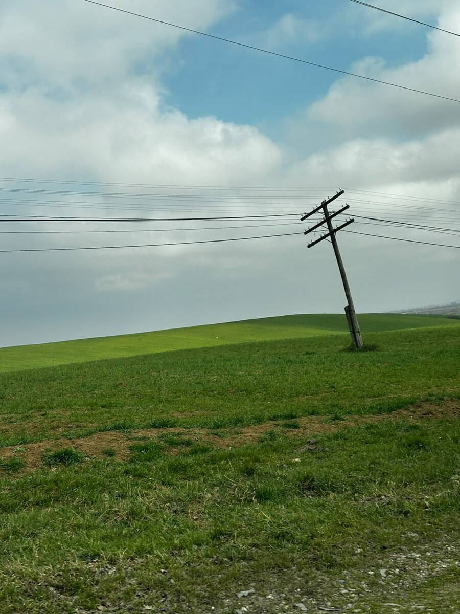 115 sot torpaq sahəsi, Quba r — Torpaq, Quba (2)