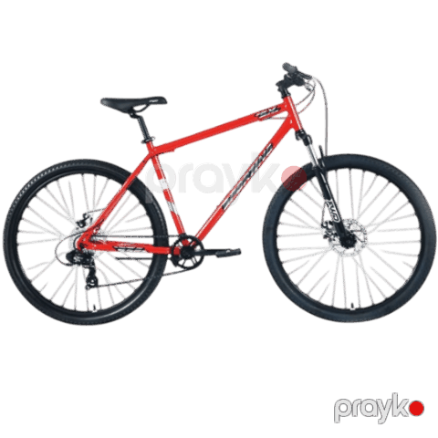 Forward Sporting SX 29 (Wheel 29/ Gear 8/ Size 21) Red/Silver