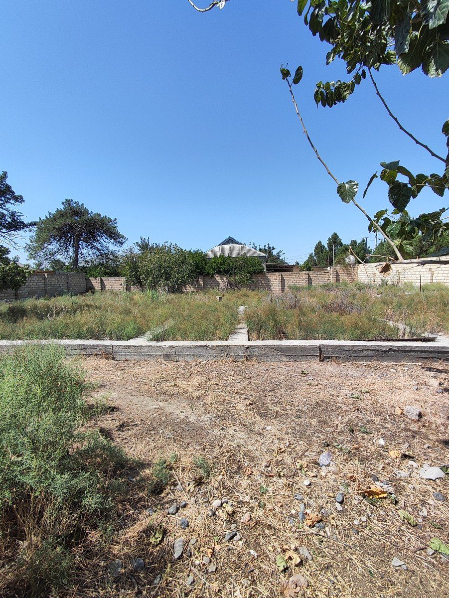 10 sot torpaq sahəsi, Şirvan ş — Torpaq, Şirvan (2)
