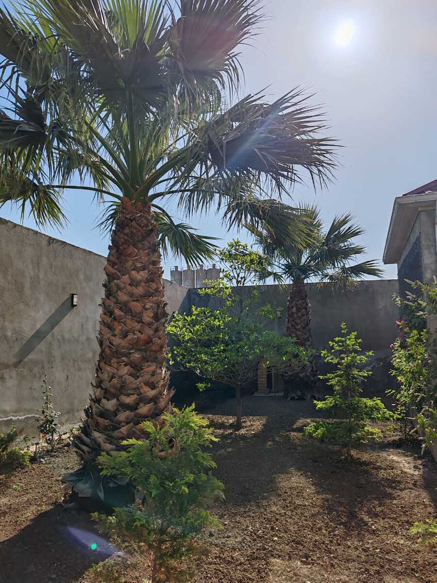 Villa, M. Ə. Rəsulzadə qəs — Ev, villa, Bakı (8)