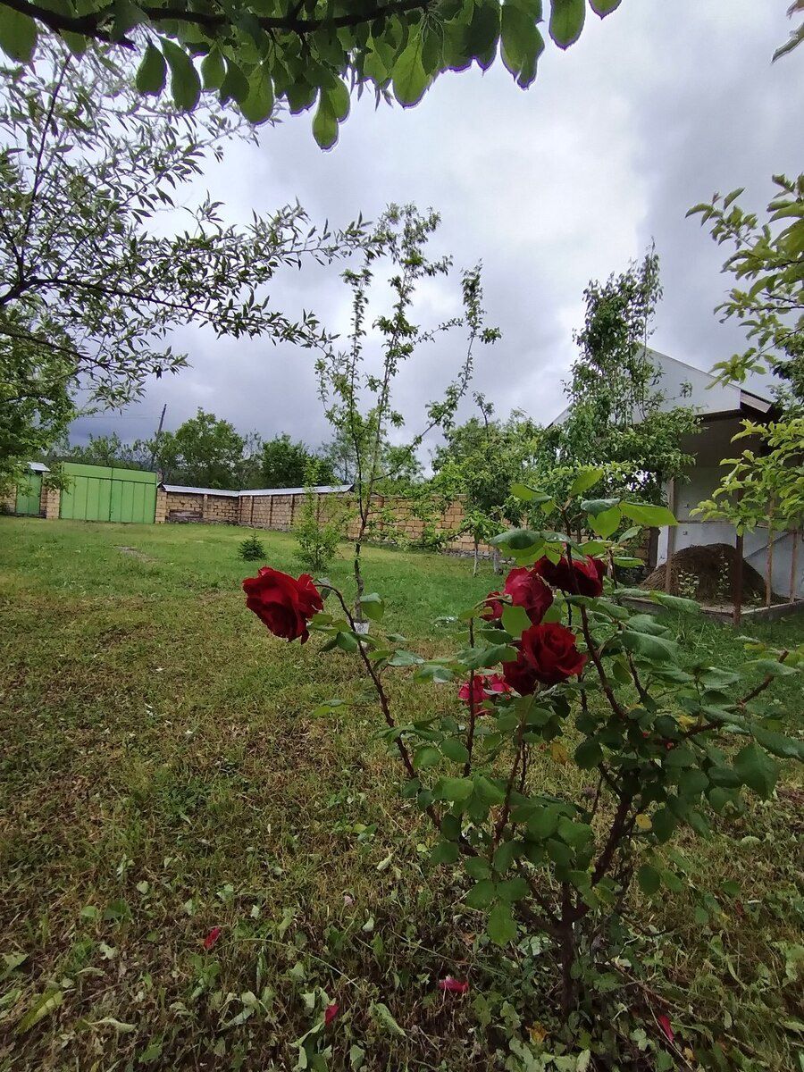 3 sot torpaq sahəsi, Qəbələ r — Torpaq, Qəbələ (3)