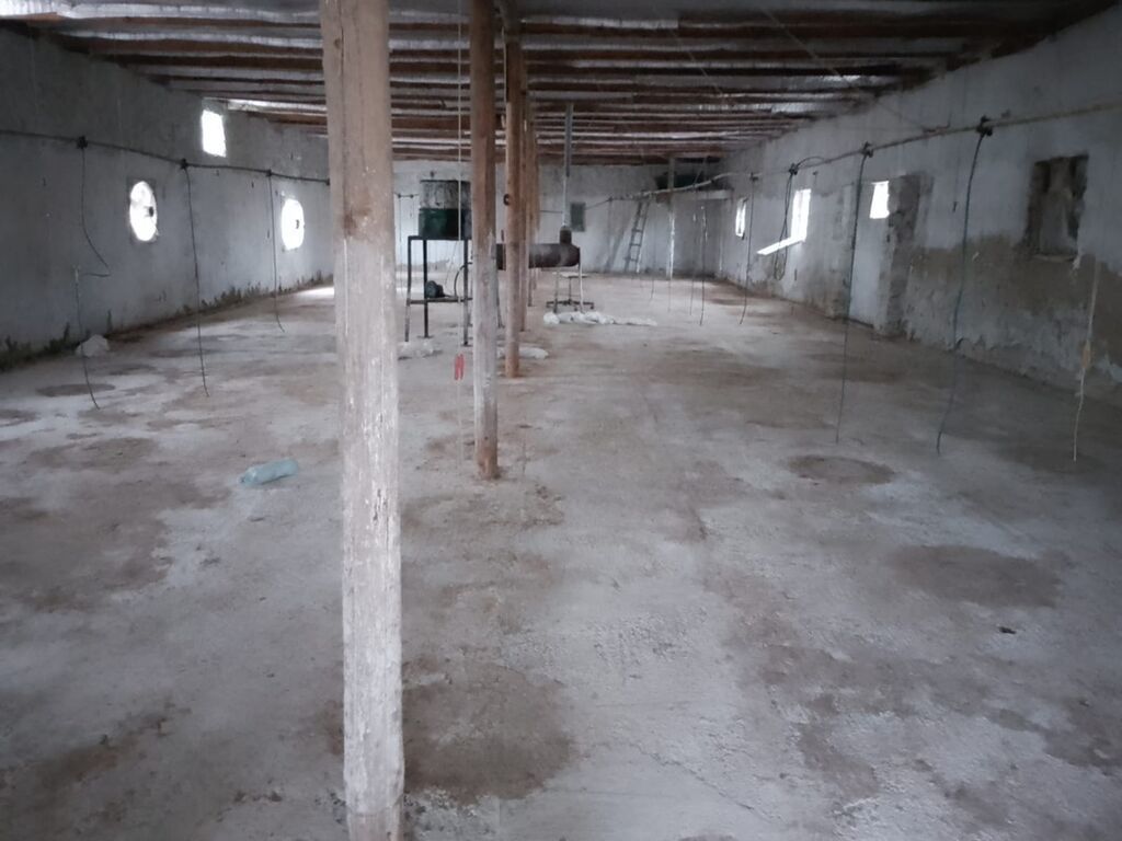 Təsərrüfat üçün hazır tövlə/ferma binası - Bir mərtəbəli, geniş — Daşınmaz əmlak, Bakı (2)