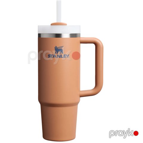 Termos Stanley Brown 30 Ounces 887 41604444364 — Bakı