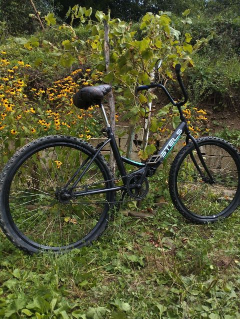 Stels şəhər/yüngül off-road velosipedi - Rəng: qara, Stels loqolu — Qusar