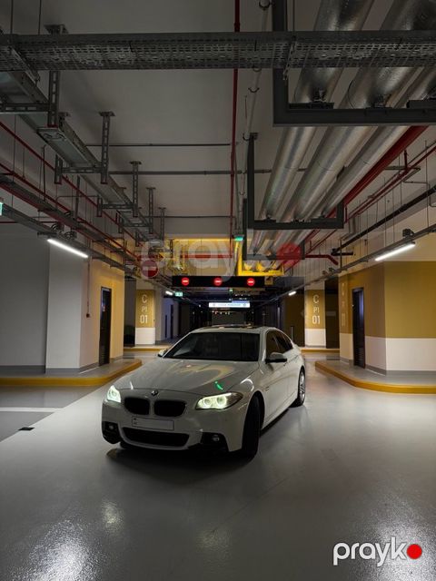 BMW 528, 2.0 L, 2016 il, 163 500 km