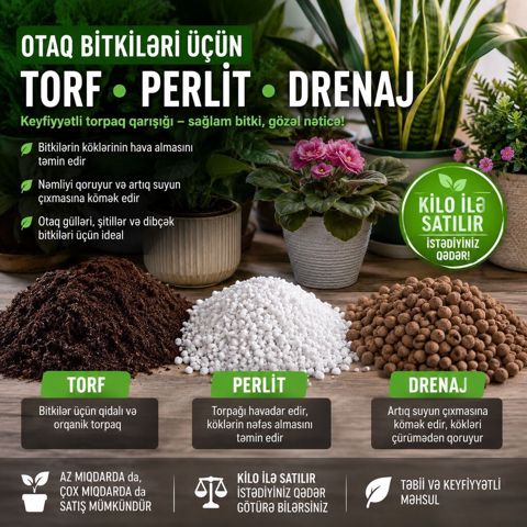 Otaq Bitkilərinə Peşəkar Qulluq Xidməti Gülləriniz zəifləyib — Digah