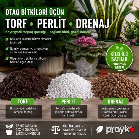 Otaq Bitkilərinə Peşəkar Qulluq Xidməti Gülləriniz zəifləyib — Digah