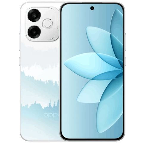 Oppo A6s Pro (CPH2833) 8/256 GB Lumina Forest — Bakı