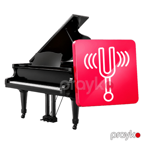 Piano və Royalın demontajı — Bakı