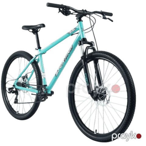 Forward Sporting SX 29 (Wheel 29/ Gear 8/ Size 21) Mint/Beige