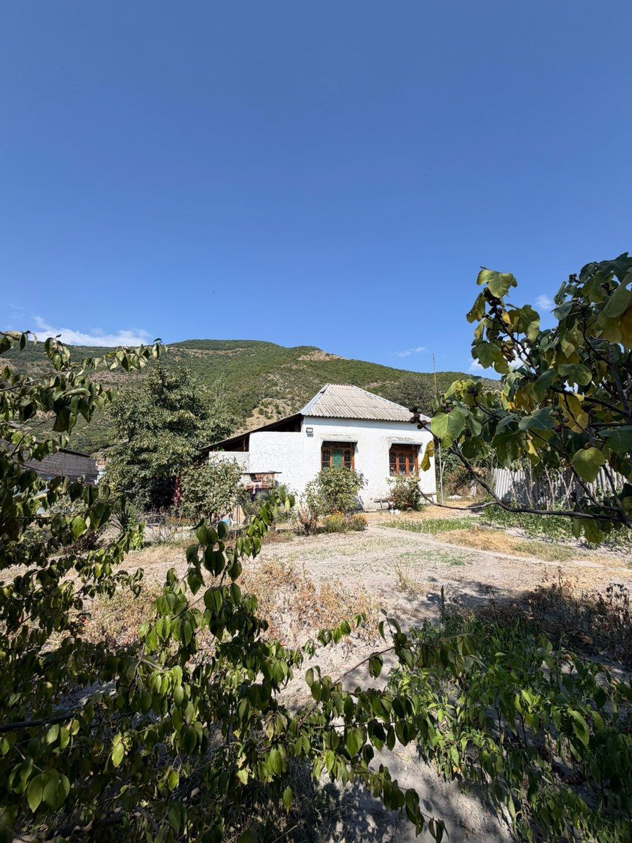 Həyət evi, Şəki ş — Ev, villa, Şəki (3)