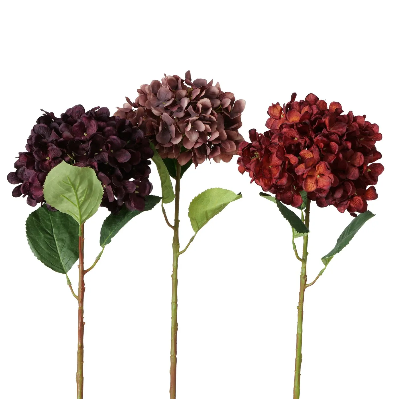 Dekorativ gül Boltze Hydrangea 57 sm 1 ədəd — Bakı