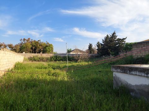 10 sot torpaq sahəsi, Buzovna qəs — Bakı