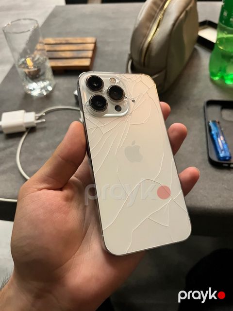 Apple iPhone 13 Pro Silver 256GB/6GB