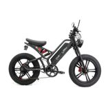 Disiyuan Super S9 Electric Bicycle — Scooters