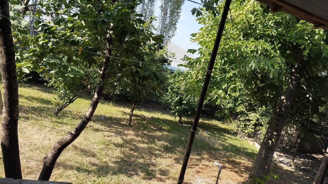 Həyət evi kirayə verilir, Şəki r — Ev, villa, Şəki (5)