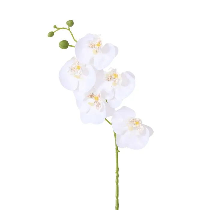 Dekorativ gül Boltze Orchid 69 sm — Bakı