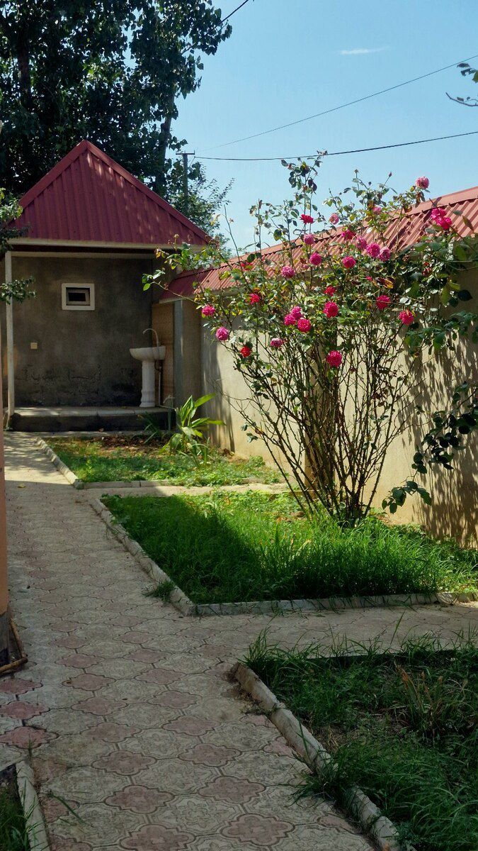 Həyət evi kirayə verilir, Qusar r — Ev, villa, Qusar (9)