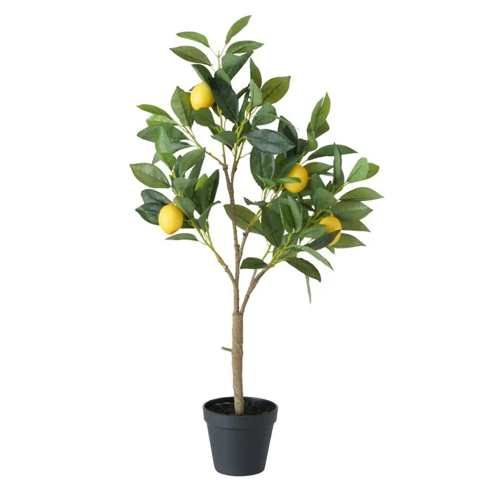Dekorativ gül Boltze Lemon 73 sm — Bakı