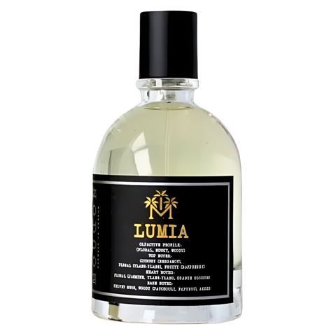 Uniseks parfüm Moudon Lumia Exdp 100 ml 3071110520235 — Perfumes