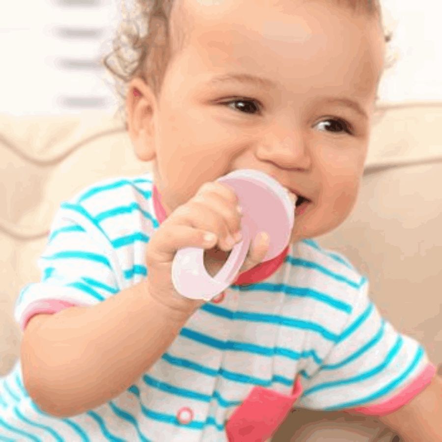 Əmzik meyvə və tərəvəz üçün BabyJem 8681049216007 — Mallar, Bakı (3)