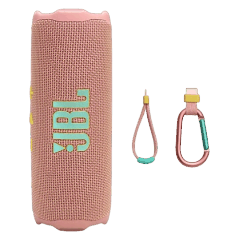 JBL Flip 7 Pink