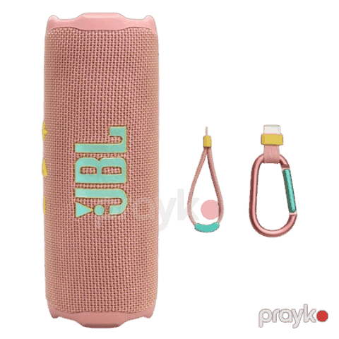 JBL Flip 7 Pink — Bakı