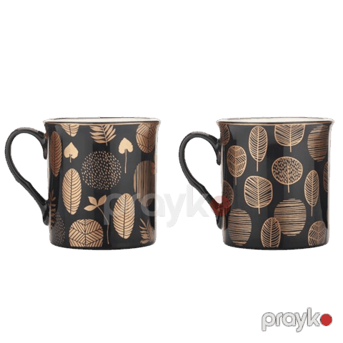 Fincan dəsti Schafer Lovely 2 parça 8699131760727 — Bakı