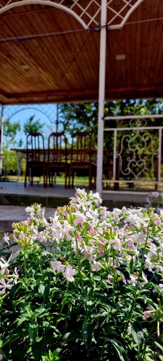 Həyət evi kirayə verilir, Qusar r — Ev, villa, Qusar (6)