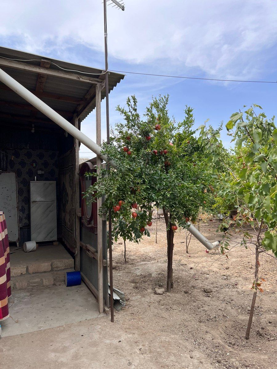 Həyət evi kirayə verilir, Hövsan qəs — Ev, villa, Bakı (9)