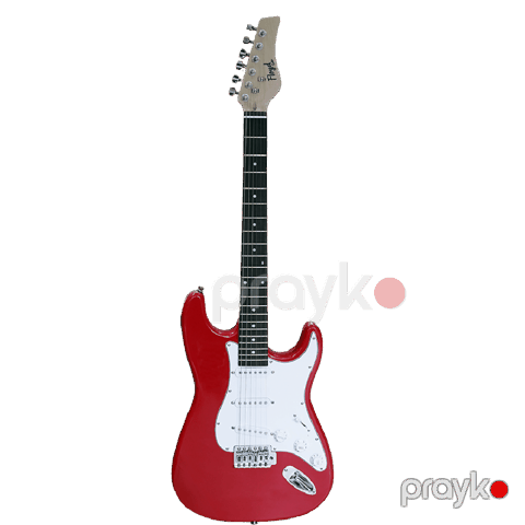 Elektrik gitara Floyd EGS-111 RD — Bakı