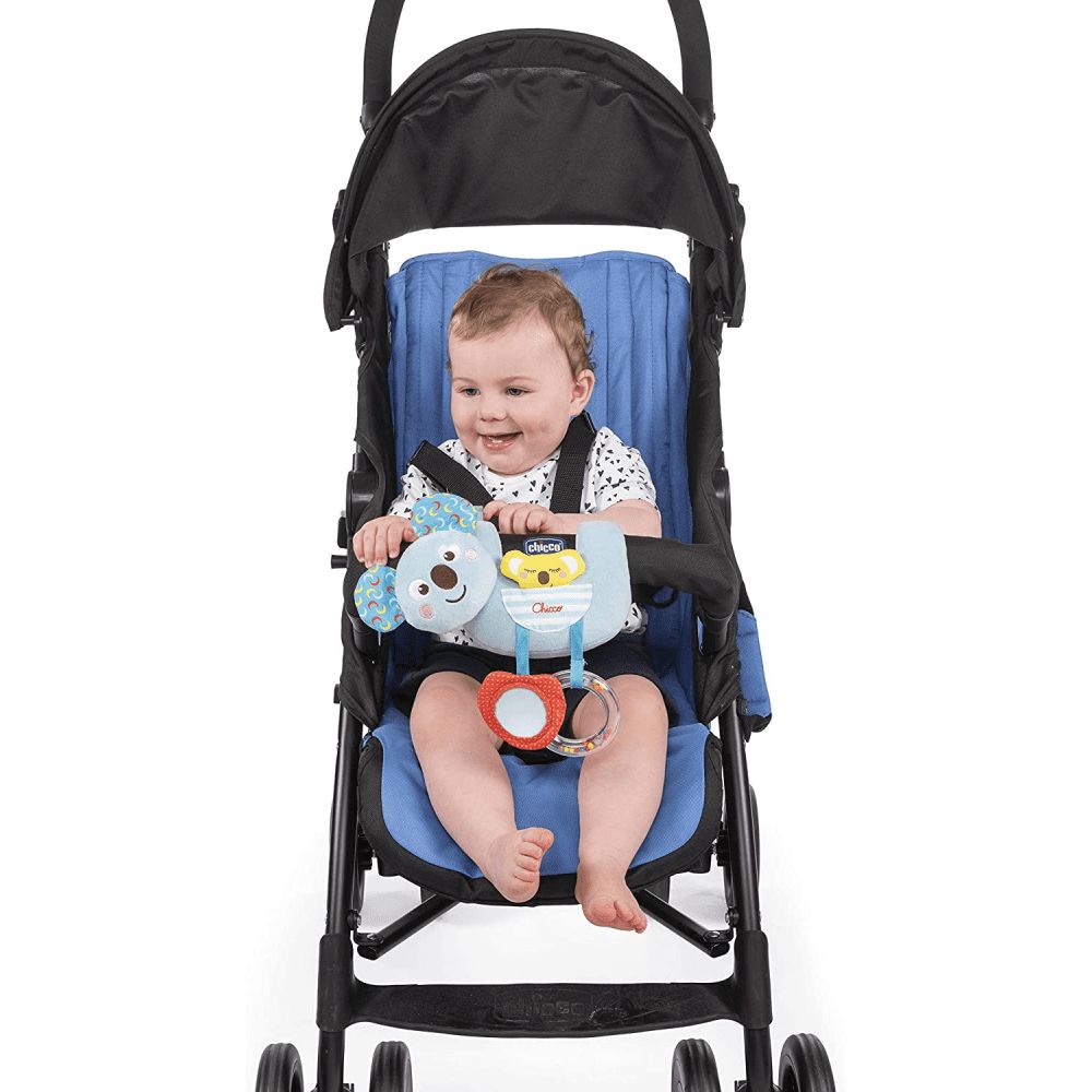 Chicco oyuncaq / 00010059000000 — Mallar, Bakı (2)