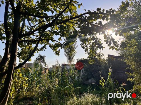 5 sot, Tikinti, Mülkiyyətçi, Kupça (Çıxarış)